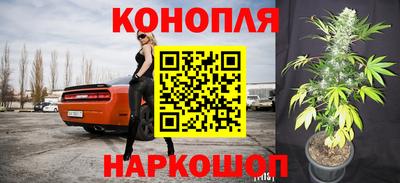 сатива Бузулук