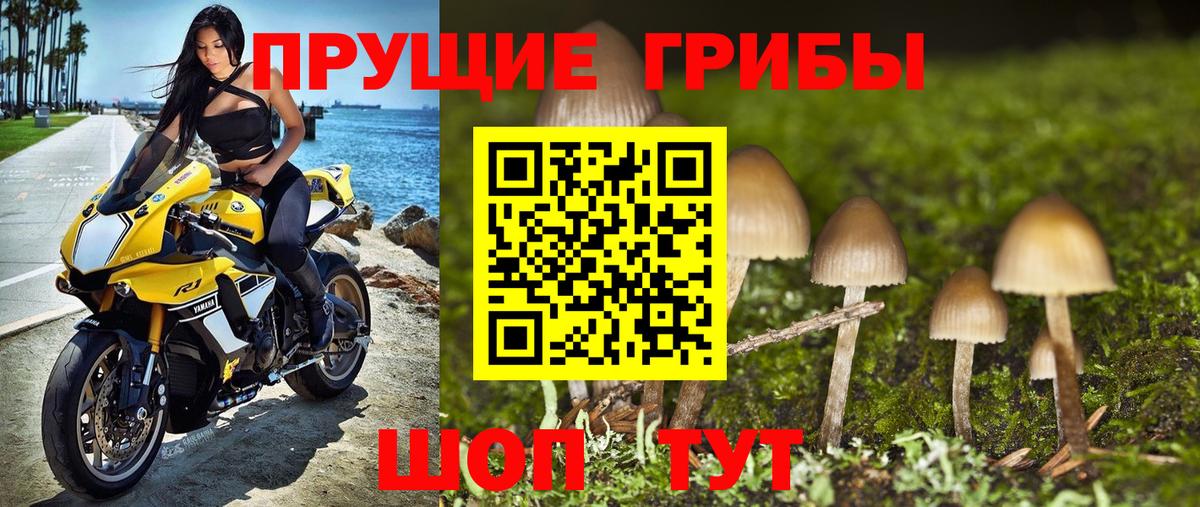 как найти закладки  Псилоцибиновые грибы MAGIC MUSHROOMS  Вход с VPN  Красный Сулин  Галлюциногенные грибы мухоморы 